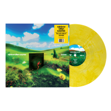 Load image into Gallery viewer, Rainbow Kitten Surprise - Bones [Indie Exclusive Banana Colored Vinyl]
