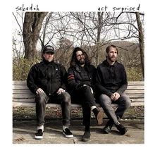 Load image into Gallery viewer, Sebadoh - Act Surprised
