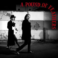 Load image into Gallery viewer, Black Crowes, The - A Pound of Feathers [180G/ Black or Indie Exclusive Red with Black Splatter Vinyl]
