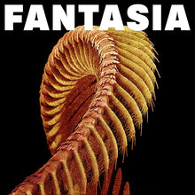 Load image into Gallery viewer, Slift - Fantasia [2LP/ Ltd Ed Mustard Vinyl/ First Pressing LOSER Edition]
