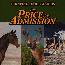 Load image into Gallery viewer, Turnpike Troubadours - The Price of Admission [Indie Exclusive Hunter Orange Vinyl]
