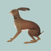 Load image into Gallery viewer, Vashti Bunyan - Lookaftering: 20th Anniversary Expanded Edition [2LP/ Bonus Tracks/ 16-Page Lyric Booklet]
