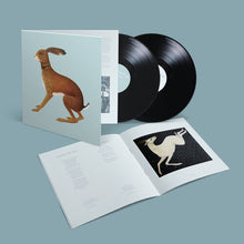 Load image into Gallery viewer, Vashti Bunyan - Lookaftering: 20th Anniversary Expanded Edition [2LP/ Bonus Tracks/ 16-Page Lyric Booklet]
