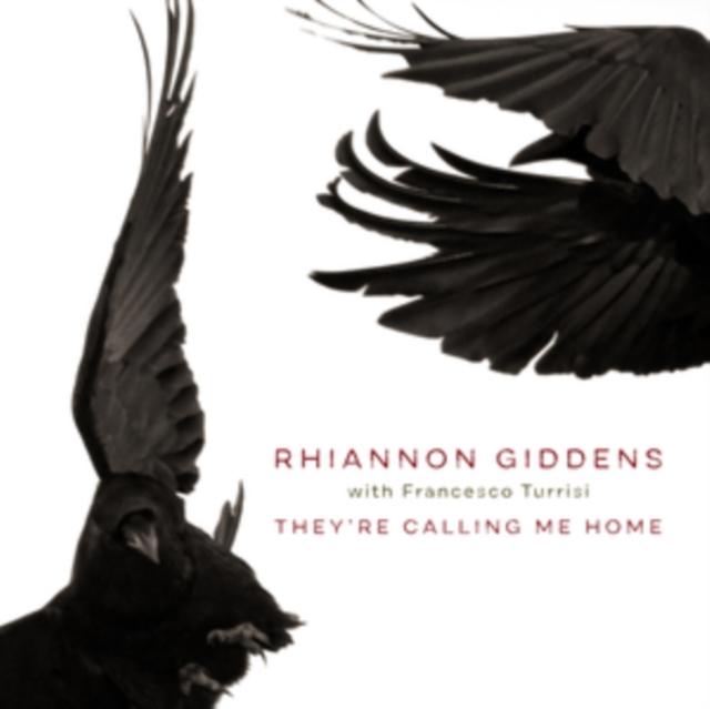 Rhiannon Giddens (with Francesco Turrisi) - They're Calling Me Home