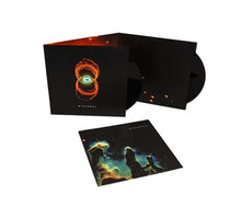 Load image into Gallery viewer, Pearl Jam - Binaural [2LP/ 150G/ Remastered]
