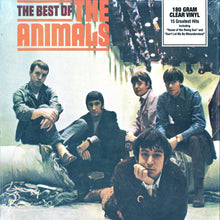 Load image into Gallery viewer, Animals, The - The Best of the Animals [180G/ Ltd Ed Clear Vinyl]
