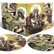 Load image into Gallery viewer, Baroness - Yellow &amp; Green [2LP/ Ltd Ed Picture Discs]
