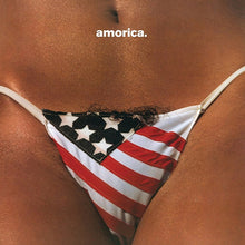 Load image into Gallery viewer, Black Crowes, The - Amorica [2LP]
