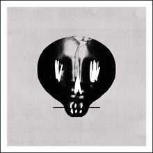 Load image into Gallery viewer, Bullet for My Valentine - Bullet for My Valentine
