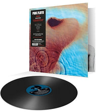 Load image into Gallery viewer, Pink Floyd - Meddle [180G/ Remastered/ Gatefold Jacket]
