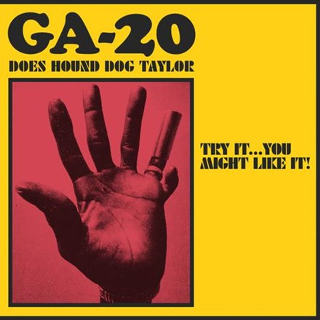 GA-20 - Try It...You Might Like It! GA-20 Does Hound Dog Taylor