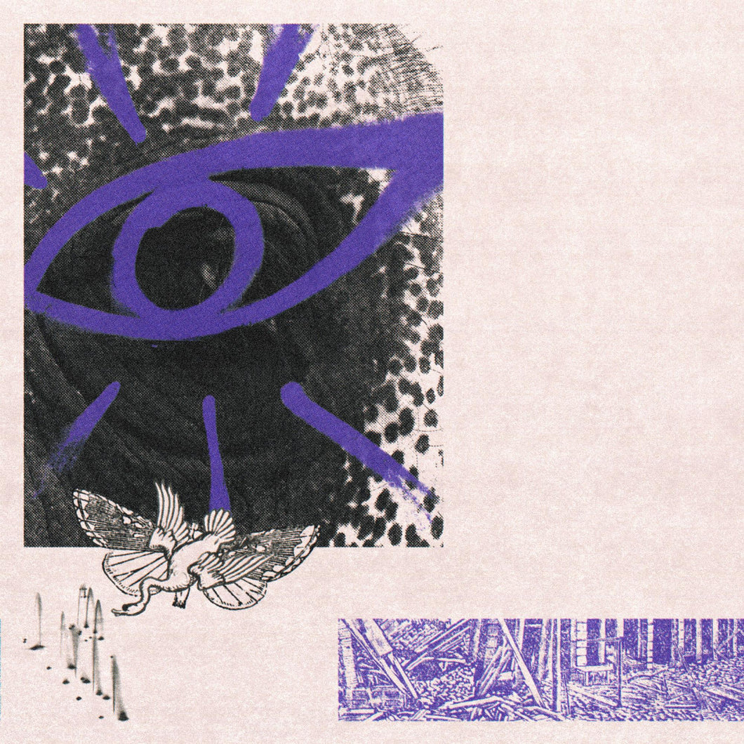Hippo Campus - LP3 [Ltd Ed Opaque Purple Swirl Vinyl/ Indie Exclusive]