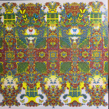 Load image into Gallery viewer, King Gizzard and the Lizard Wizard - Butterfly 3000: Korean Cover [Ltd Ed Red Vinyl/ Brown Cardboard Outer Sleeve]
