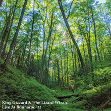 Load image into Gallery viewer, King Gizzard and the Lizard Wizard - Live at Bonnaroo '22 [Ltd Ed Orange Crush Buzzsaw-Shaped Vinyl]
