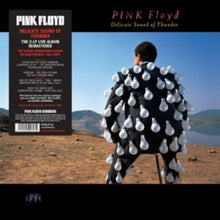 Load image into Gallery viewer, Pink Floyd - Delicate Sound of Thunder [2LP/ 180G/ Remastered]
