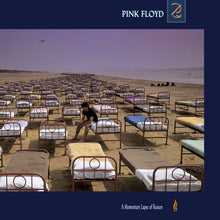 Load image into Gallery viewer, Pink Floyd - A Momentary Lapse of Reason [180G/ Remastered/ UK Import]

