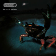 Load image into Gallery viewer, Prodigy, The - The Fat of the Land: 25th Anniversary Edition [2LP/ Ltd Ed Silver Vinyl]
