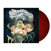 Load image into Gallery viewer, Sanguisugabogg - Homicidal Ecstasy [180G/ Ltd Ed Transparent Vicious Bloodshed-Red-Black Marbled Vinyl/ Art Booklet]
