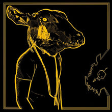 Load image into Gallery viewer, Shakey Graves - Roll the Bones X: 10th Anniversary Edition [2LP/ 180G /Ltd Ed Black &amp; Gold Nugget Vinyl/ Picture Book]
