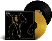 Load image into Gallery viewer, Shakey Graves - Roll the Bones X: 10th Anniversary Edition [2LP/ 180G /Ltd Ed Black &amp; Gold Nugget Vinyl/ Picture Book]
