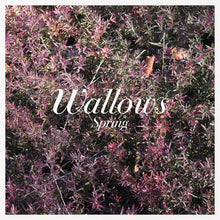 Load image into Gallery viewer, Wallows - Spring EP [45 RPM/ Ltd Ed Pink &amp; Green Vinyl]
