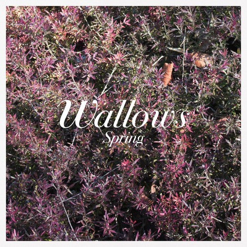 Wallows - Spring EP [45 RPM/ Ltd Ed Pink & Green Vinyl]