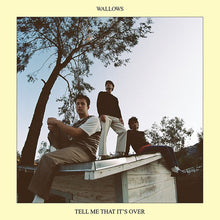 Load image into Gallery viewer, Wallows - Tell Me That It&#39;s Over [Ltd Ed Yellow Vinyl]
